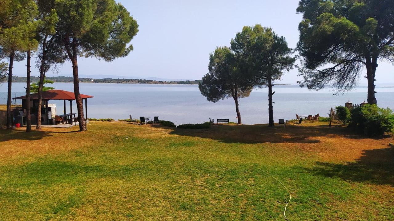 Studios Efi Beach Vourvourou Eksteriør bilde
