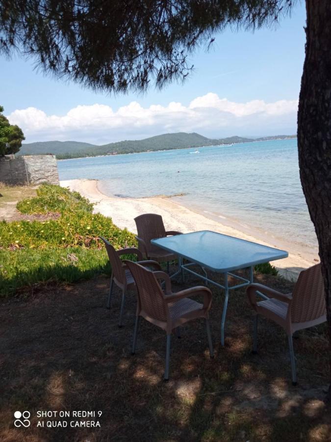 Studios Efi Beach Vourvourou Eksteriør bilde