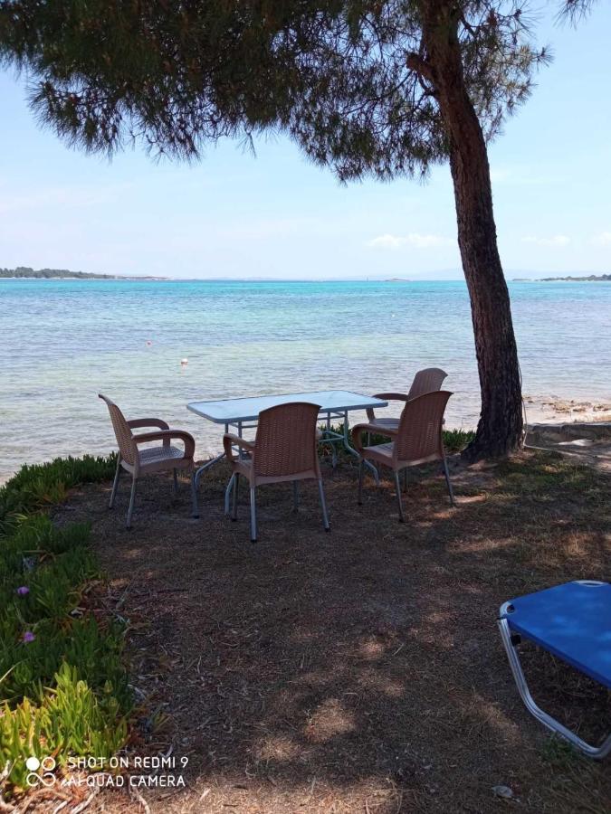 Studios Efi Beach Vourvourou Eksteriør bilde