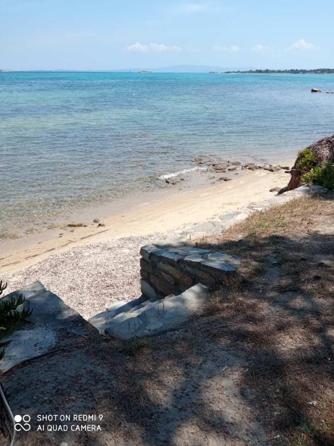 Studios Efi Beach Vourvourou Eksteriør bilde